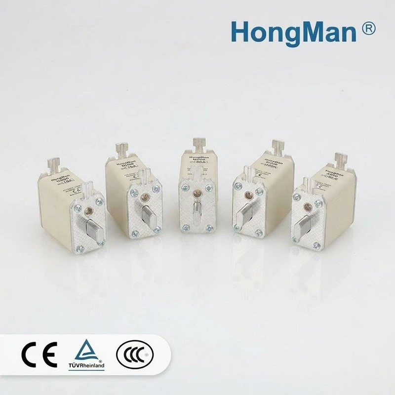 AC 500V/690V NH00 Fuse Link factory
