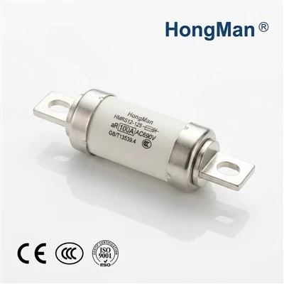 AC EV Fuse Link