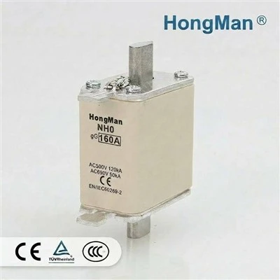 NH0 High Breaking Capacity Fuse