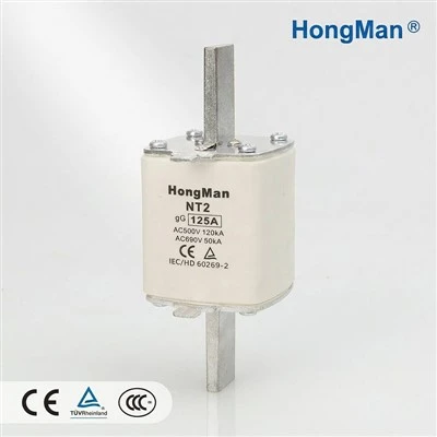 NT2 Ceramic Fuse Link
