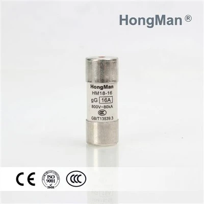 PV 800V Fuse Link